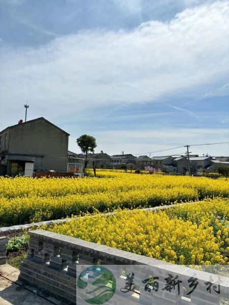 南京江宁区杨柳湖风景区附近农房出租